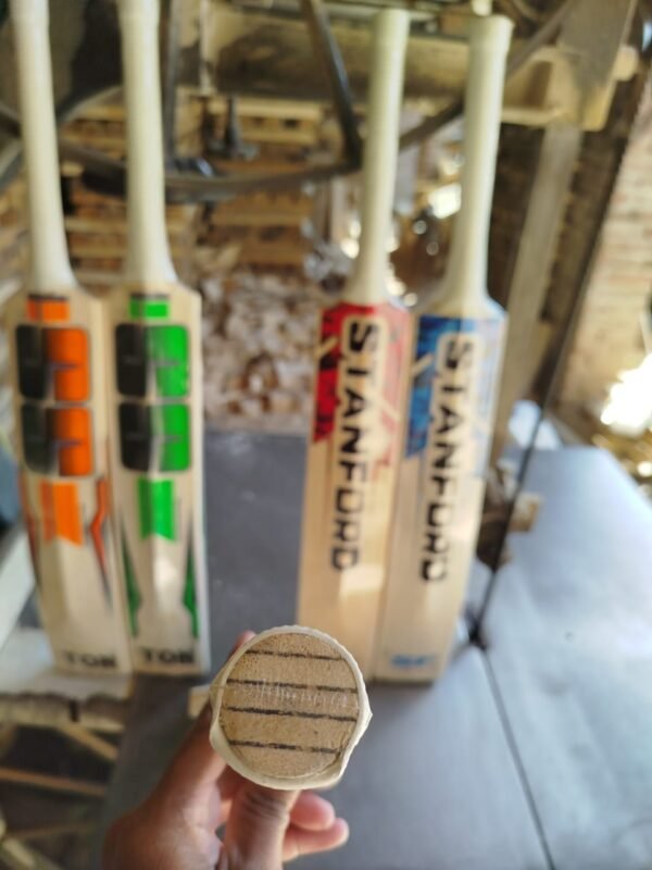 kashmir-willow-hard-ball-bat